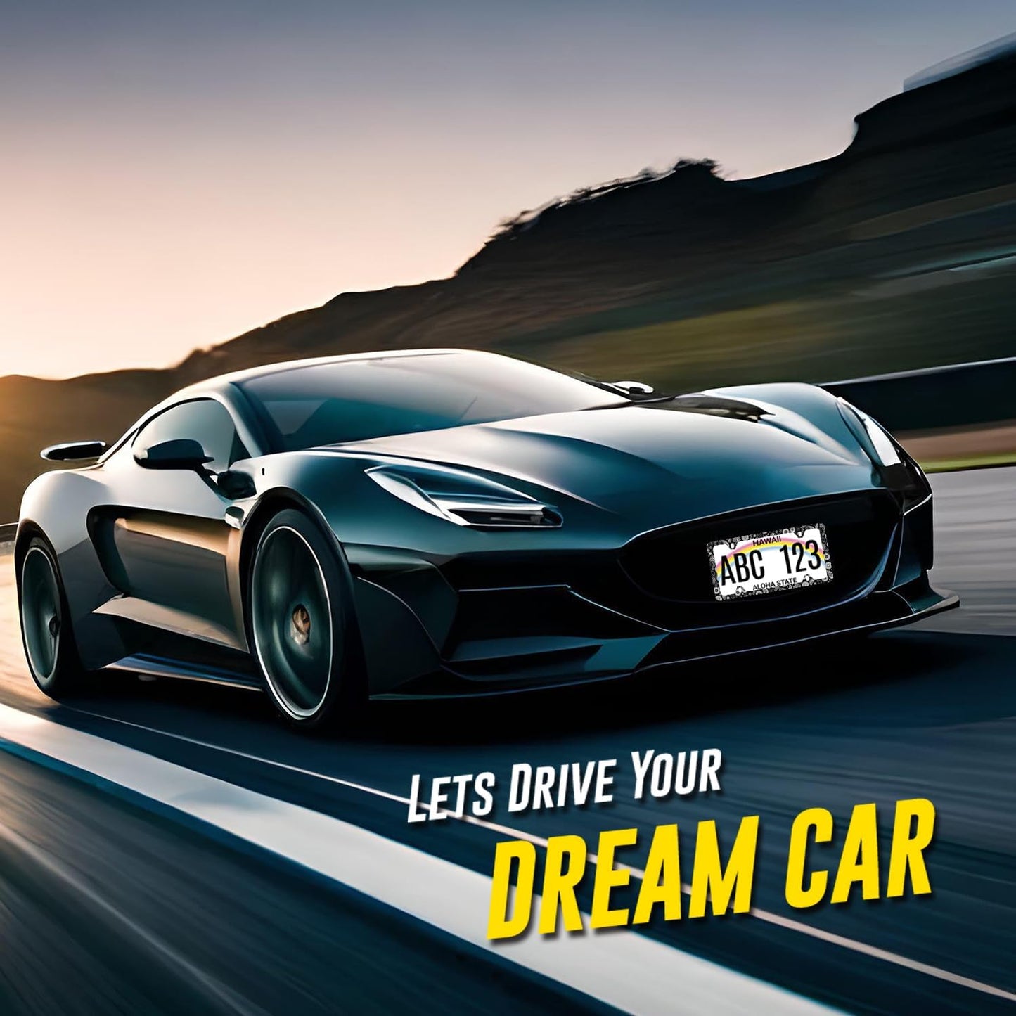 Black and White Paisley License Plate Frame Boho License Plate Holder Stainless Steel Funny Design with 4 Holes and Screws 12.3" x 6.3"